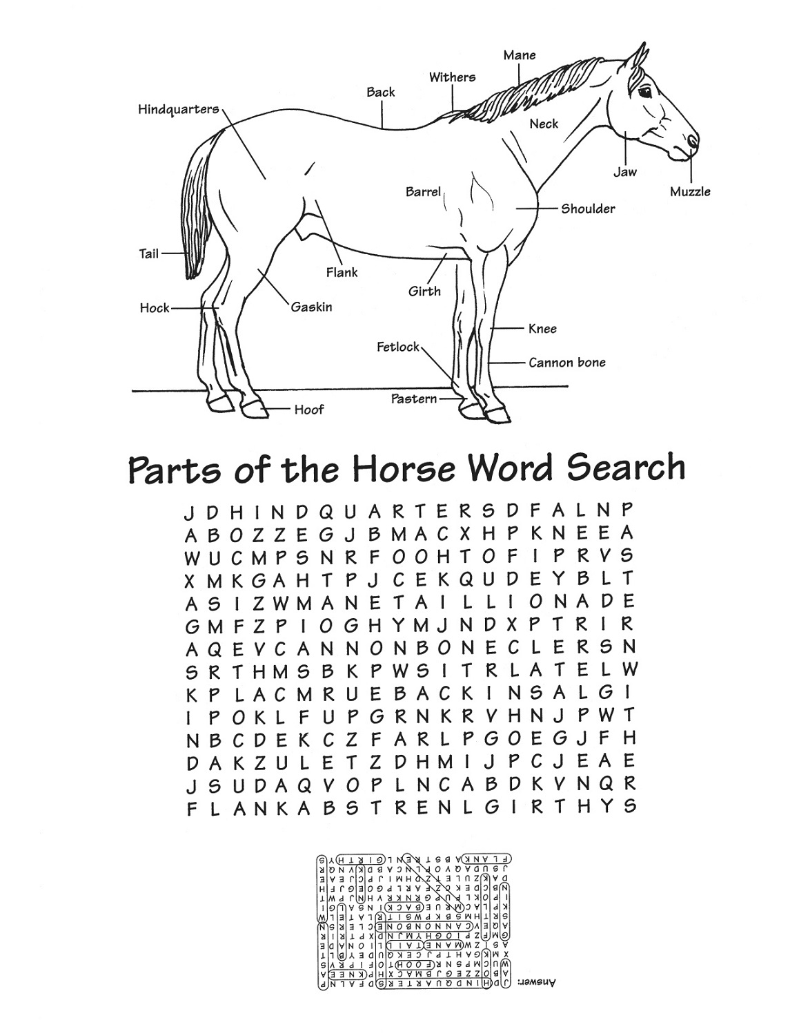 horse word search parts