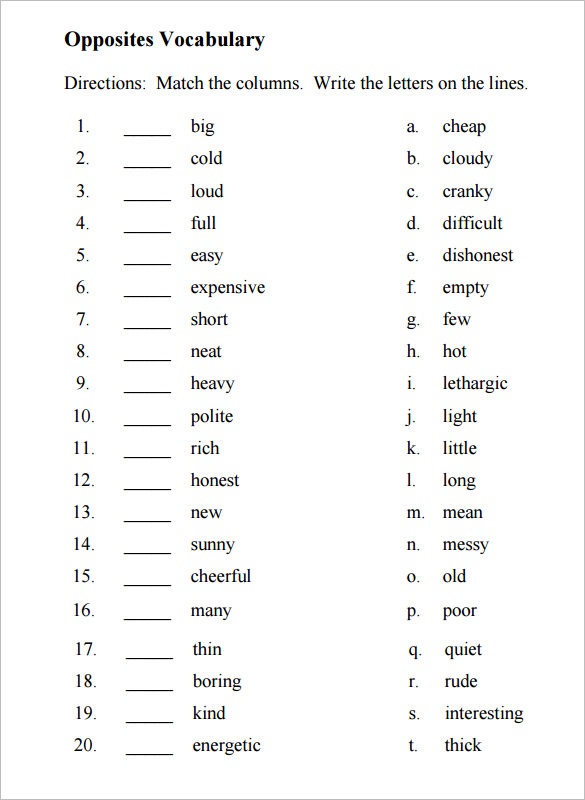 Free Wwwi Vocabulary Worksheets Printable