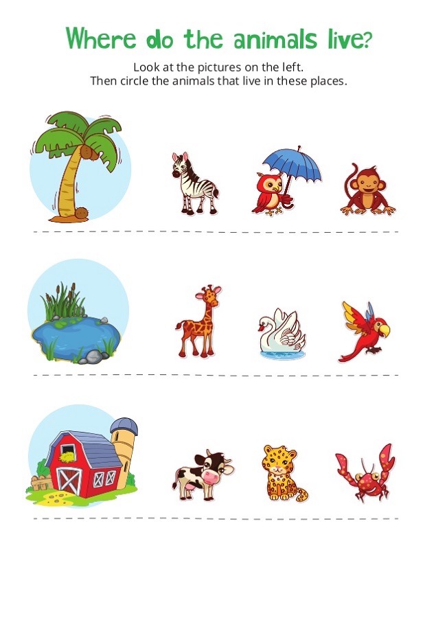 work sheets for kids animal