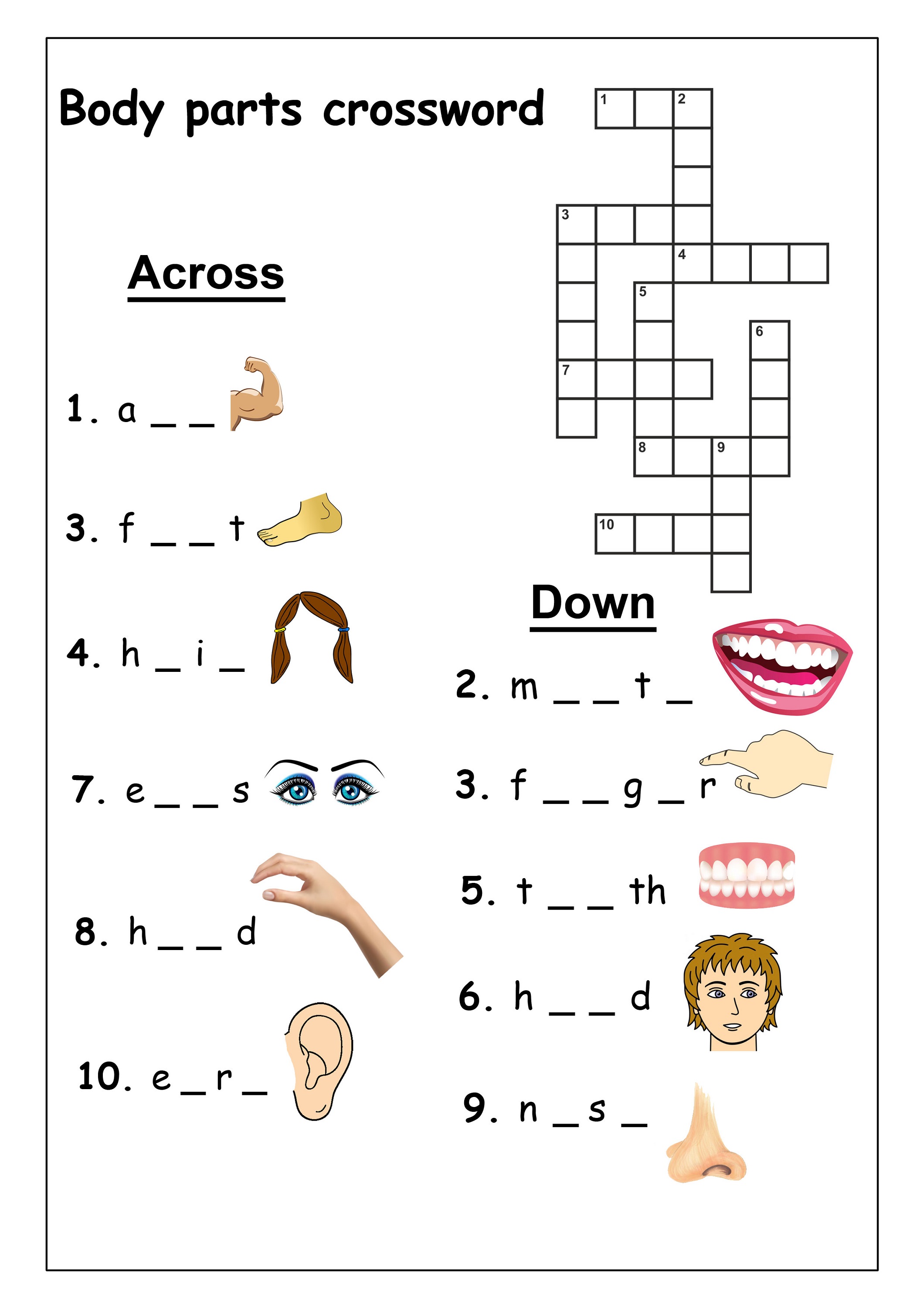 very easy crossword puzzles body