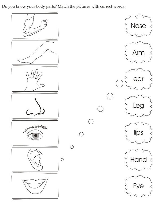 worksheet for nursery body part