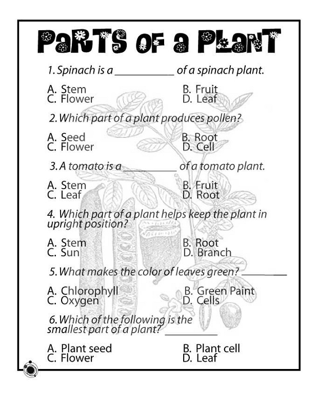 free science worksheets 2nd grade