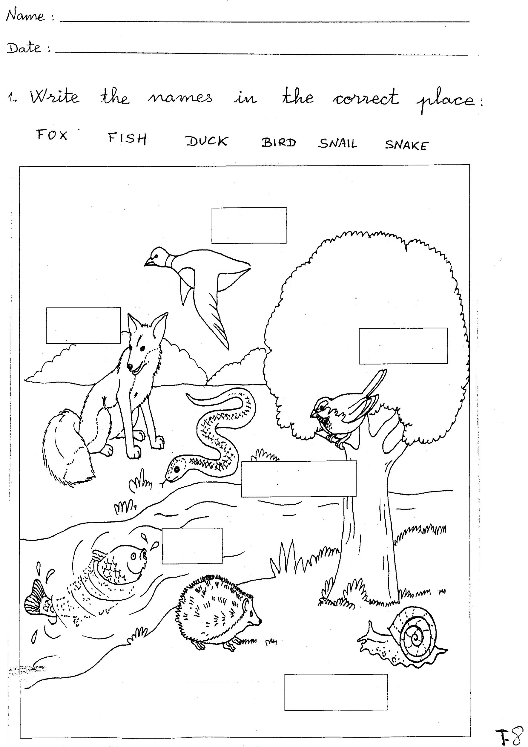 free science worksheets animal