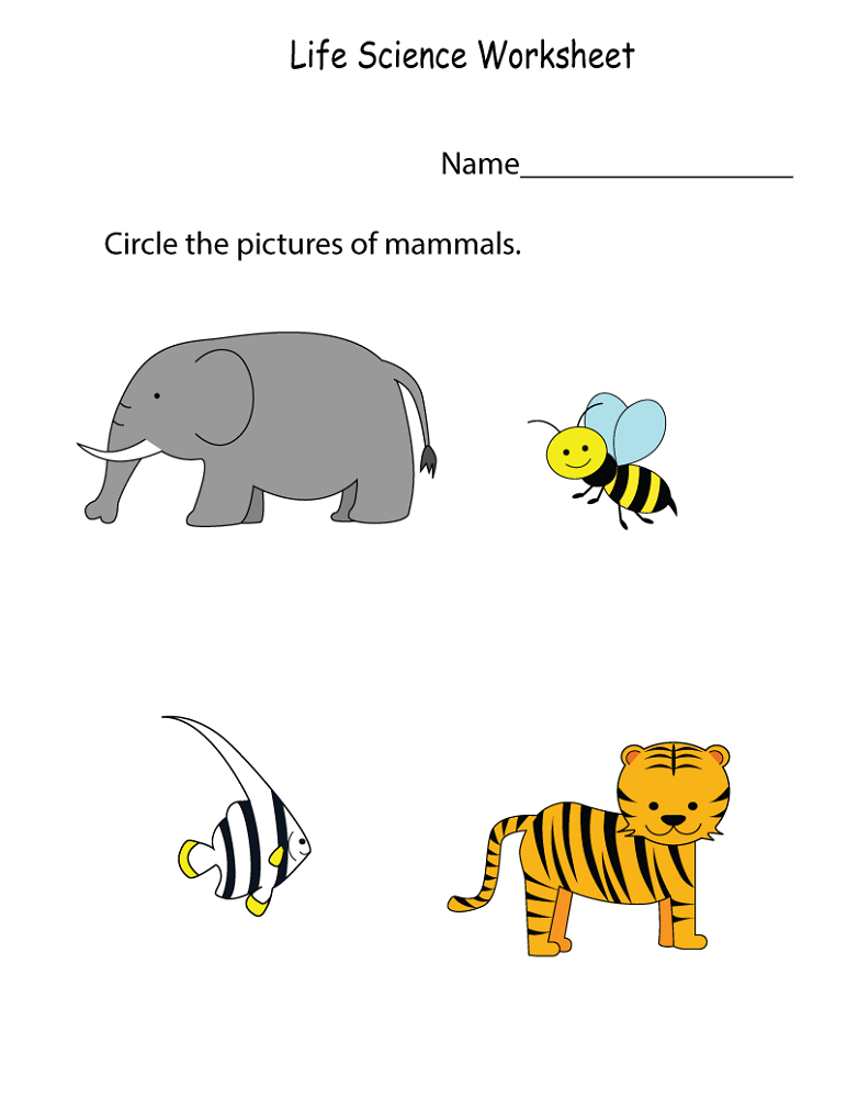 free science worksheets preschool