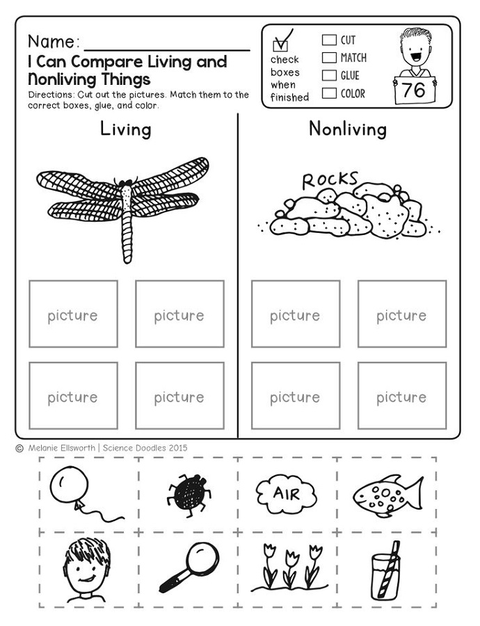 Free Printable Science Worksheets For First Grade