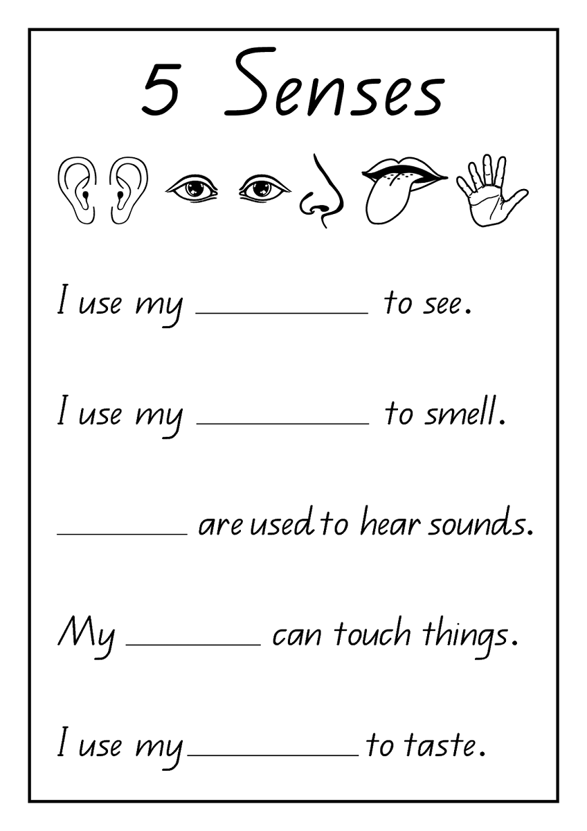 free science worksheets senses