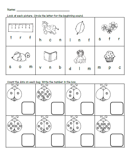 homework activity sheet