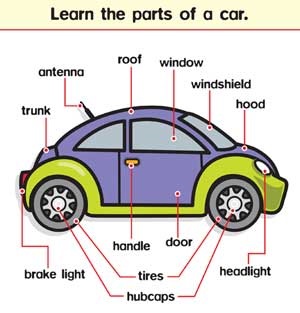 Kids Cars and Parts Detailed