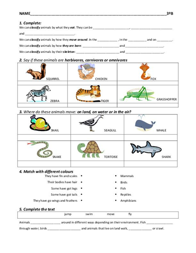 worksheets-for-elementary-students-activity-shelter