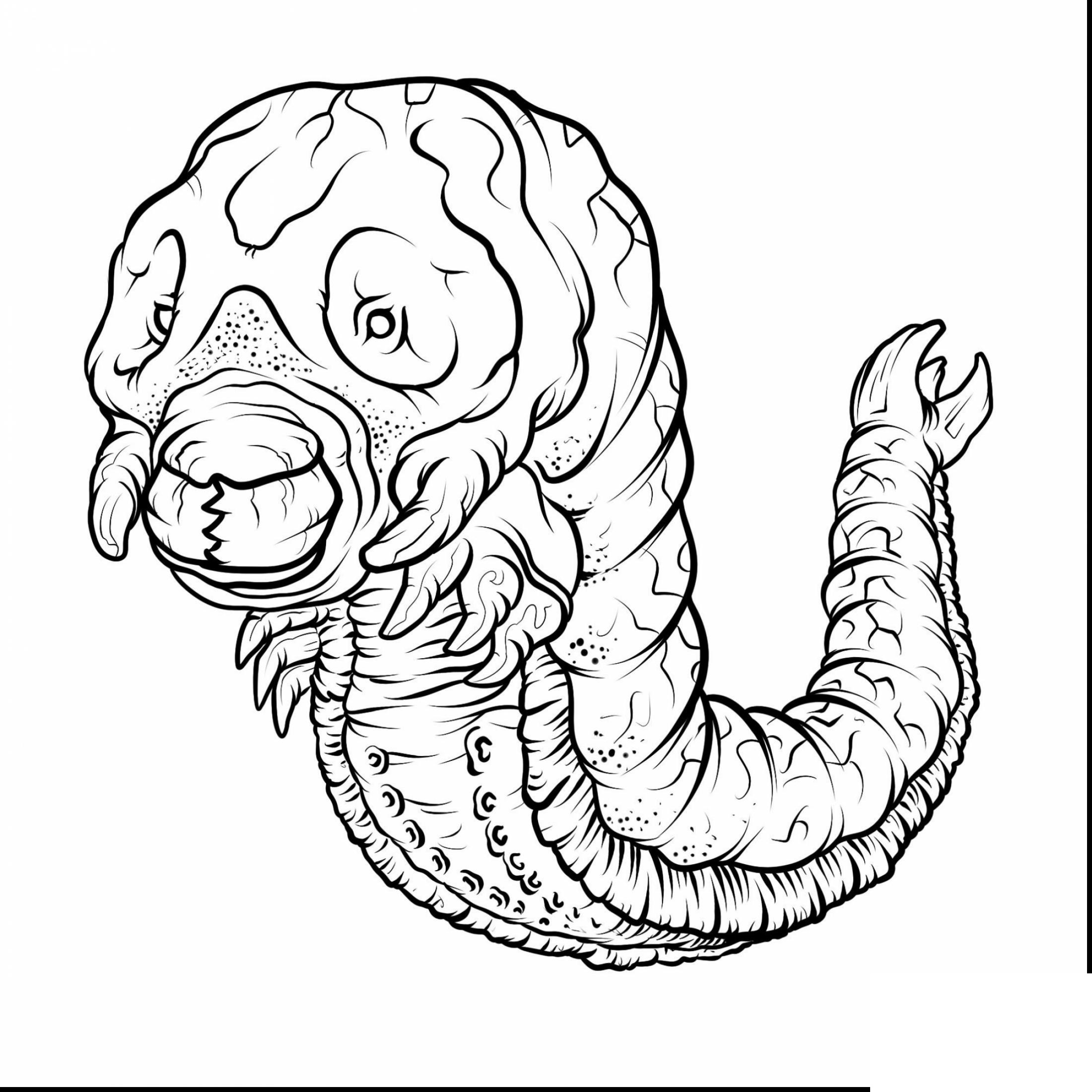 godzilla coloring pages mothra