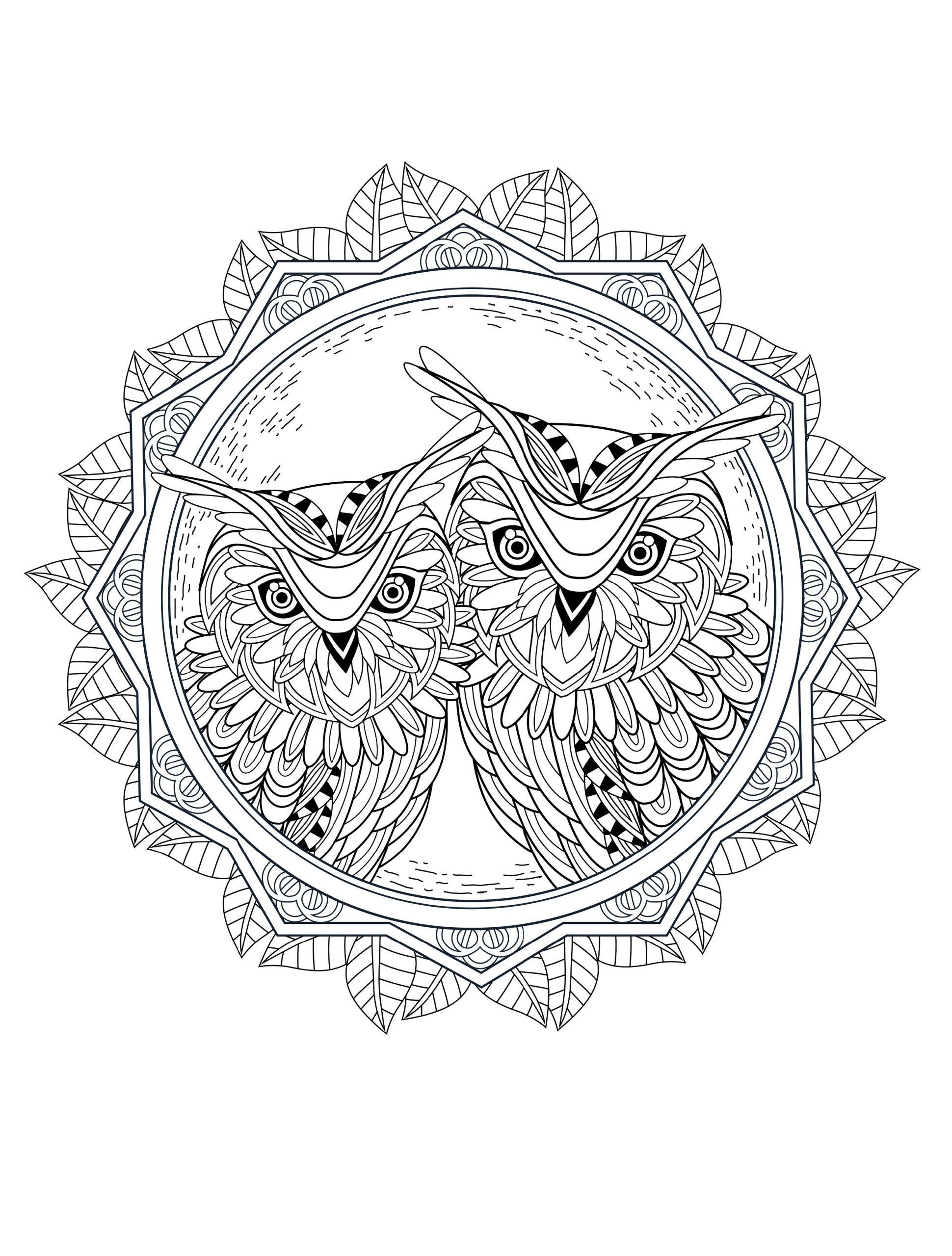 Coloring Pages To Print For Adults Owl