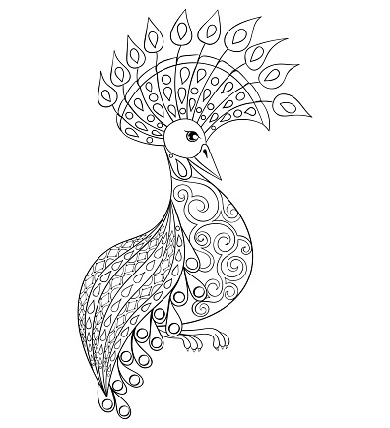 Cool Coloring Pages Printable Peacock