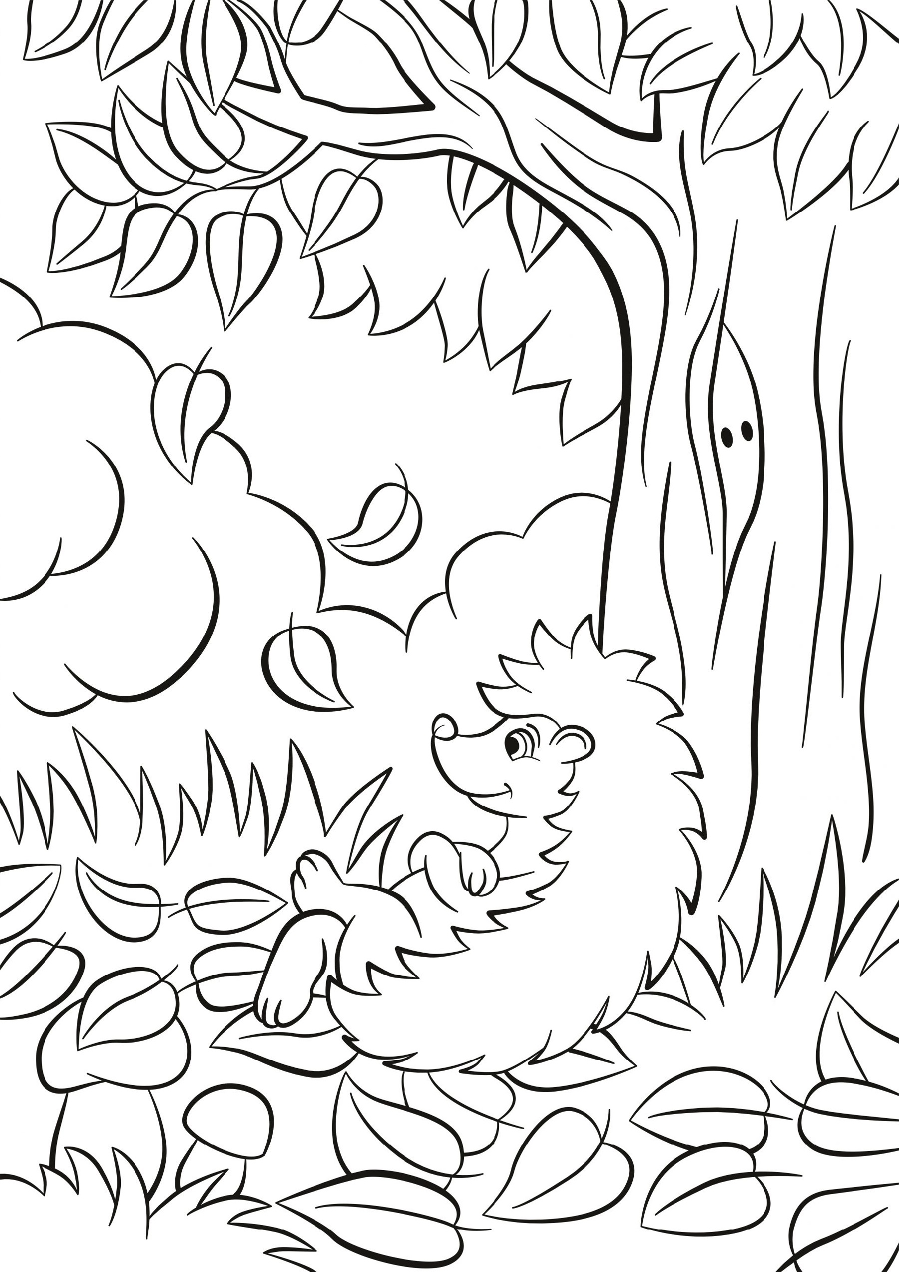 Coloring Sheets Fall Animal